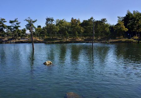 10/23　でっかいロックトラウトをキャッチ！ ～フィッシングパーク高島の泉～